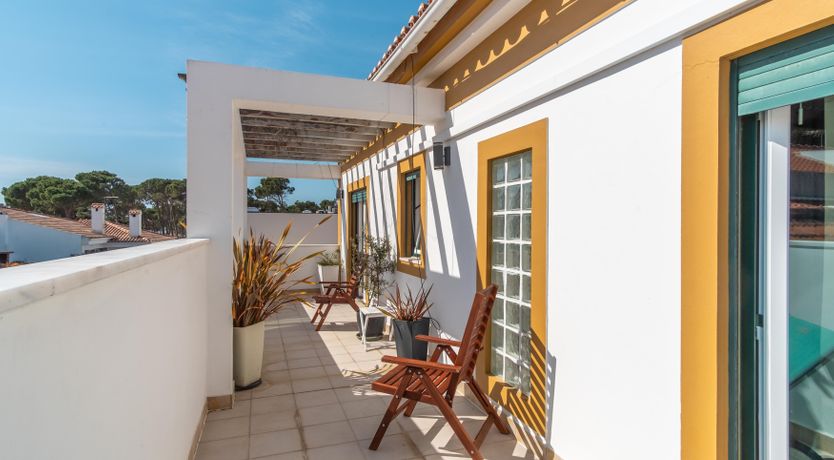 Photo of Lavender & Pines