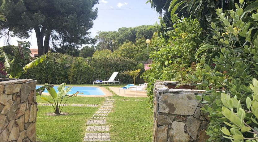 Photo of Lavender & Pines