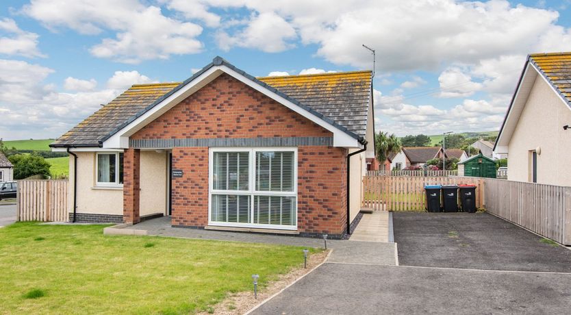 Photo of Oystercatcher