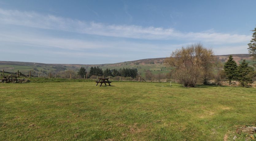 Photo of Silver Birches