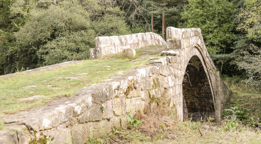 Photo of Silver Birches