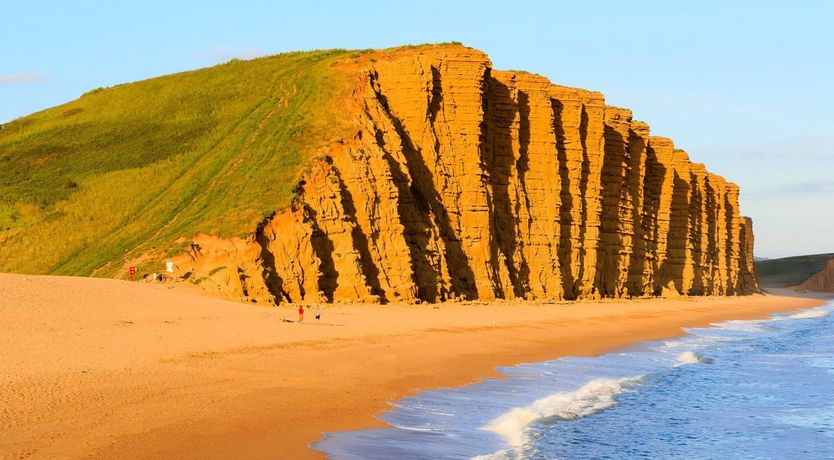 Photo of Treacle Sponge
