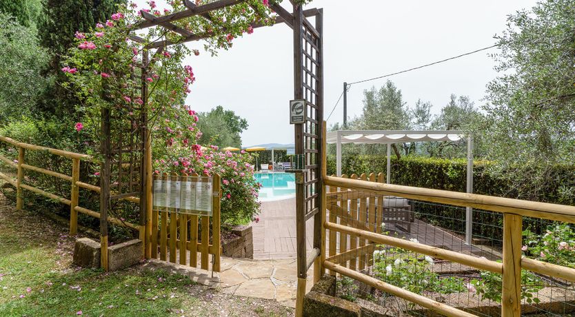 Photo of Tuscan Trees