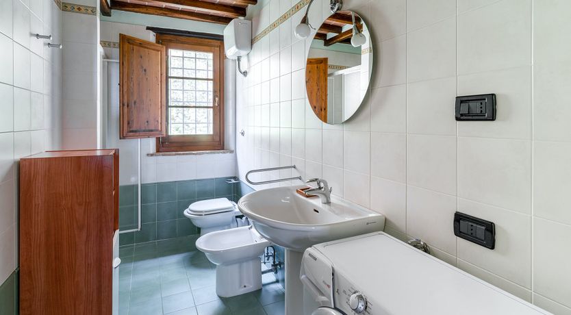 Photo of Tuscan Trees