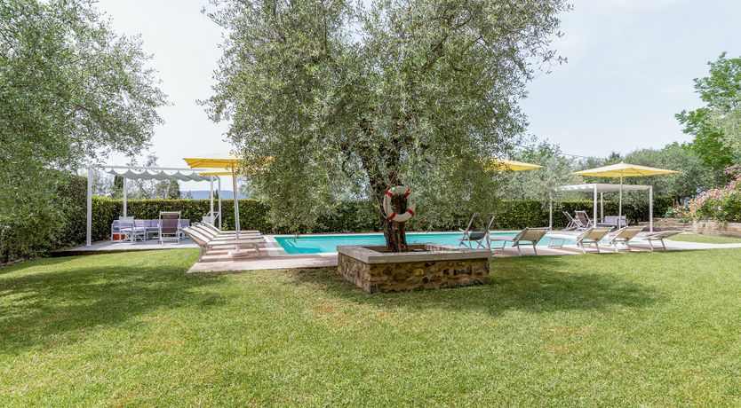 Photo of Tuscan Trees