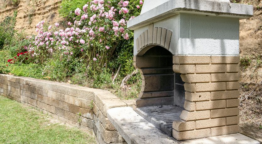 Photo of Tuscan Trees