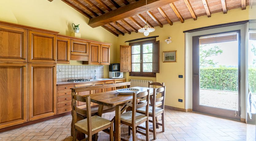 Photo of Tuscan Trees