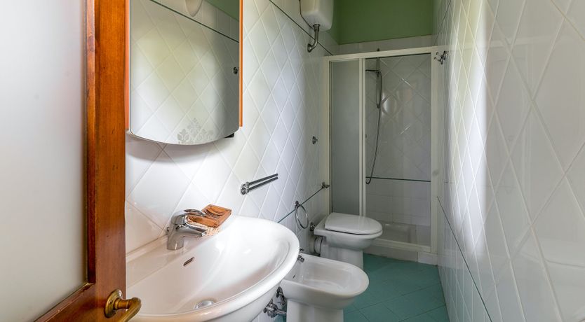 Photo of Tuscan Trees