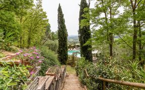 Photo of Tuscan Trees