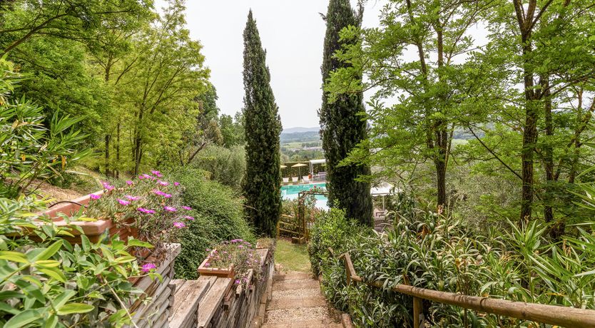 Photo of Tuscan Trees