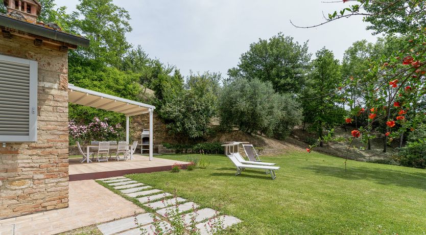 Photo of Tuscan Trees