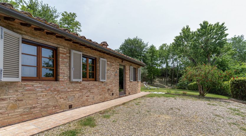 Photo of Tuscan Trees