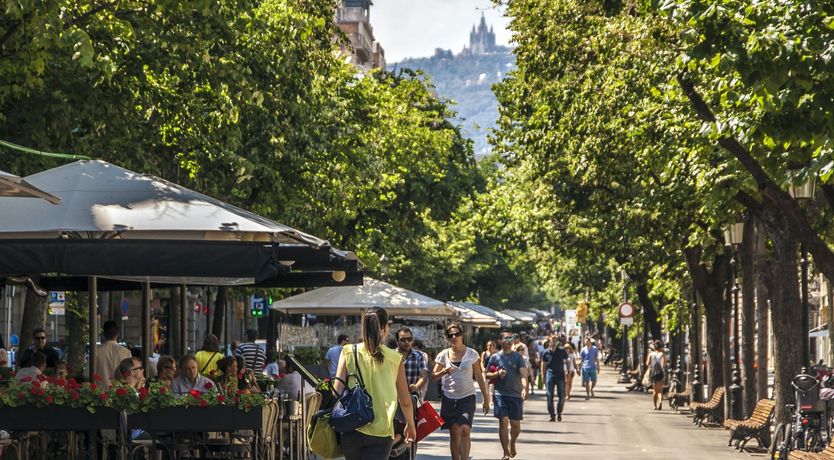 Photo of A Shining Example