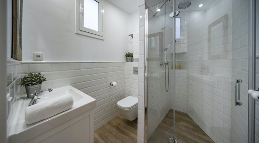 Photo of The Free Bird