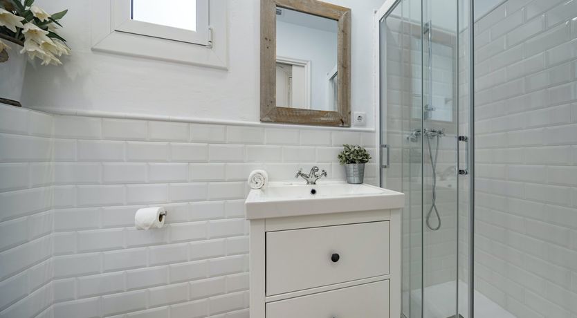 Photo of The Free Bird