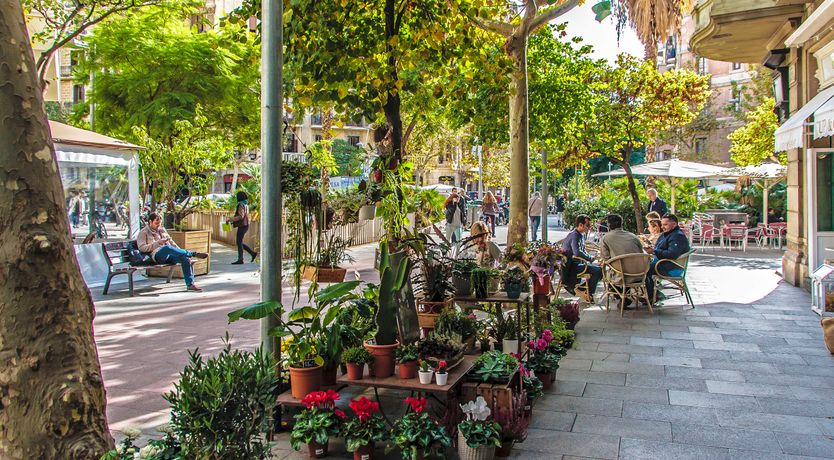 Photo of Worship the Sun