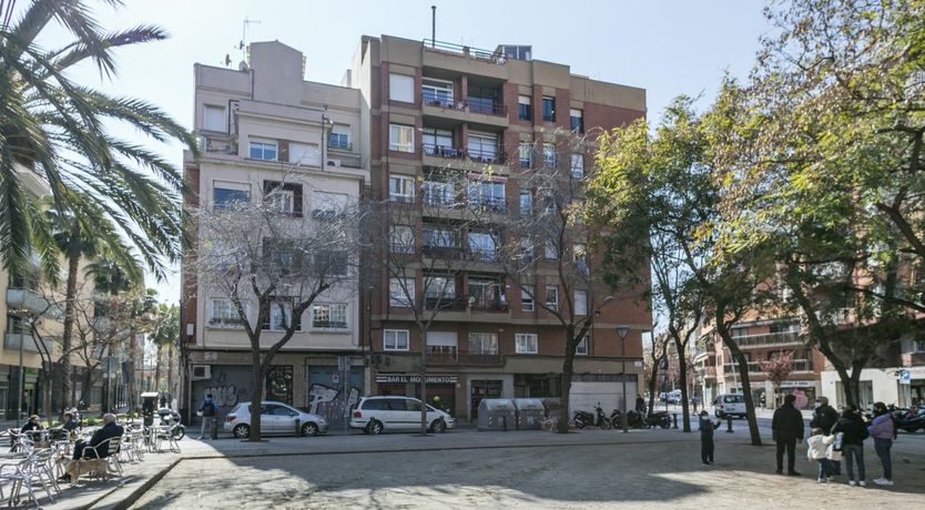 Photo of Shades of Viva