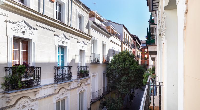 Photo of Autumn Jungle