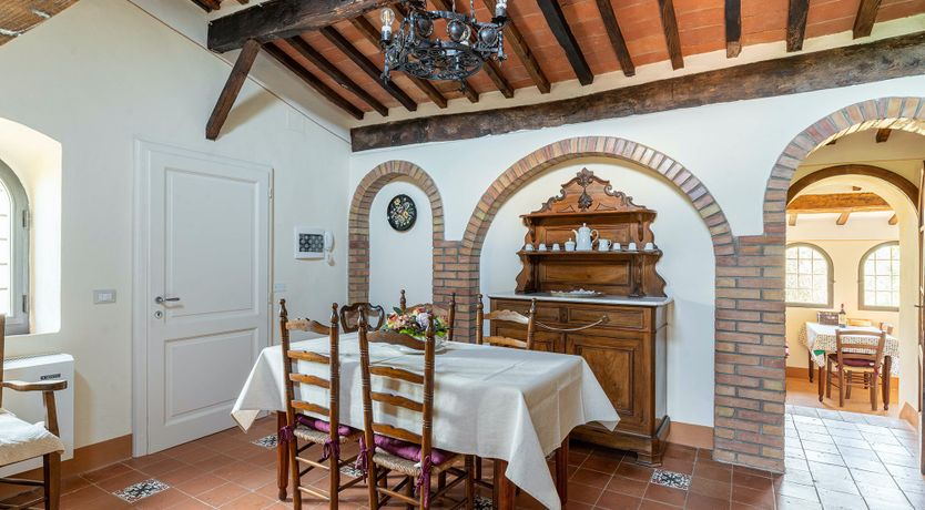 Photo of The Madonna Rose