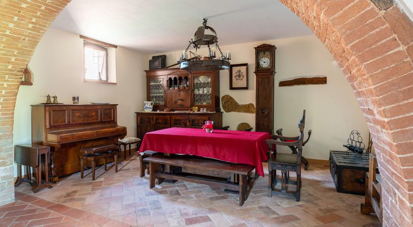 Photo of The Madonna Rose