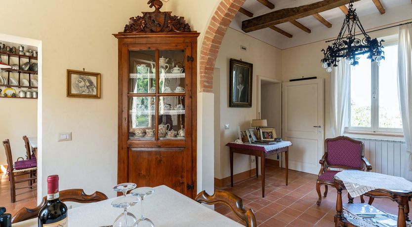 Photo of The Madonna Rose