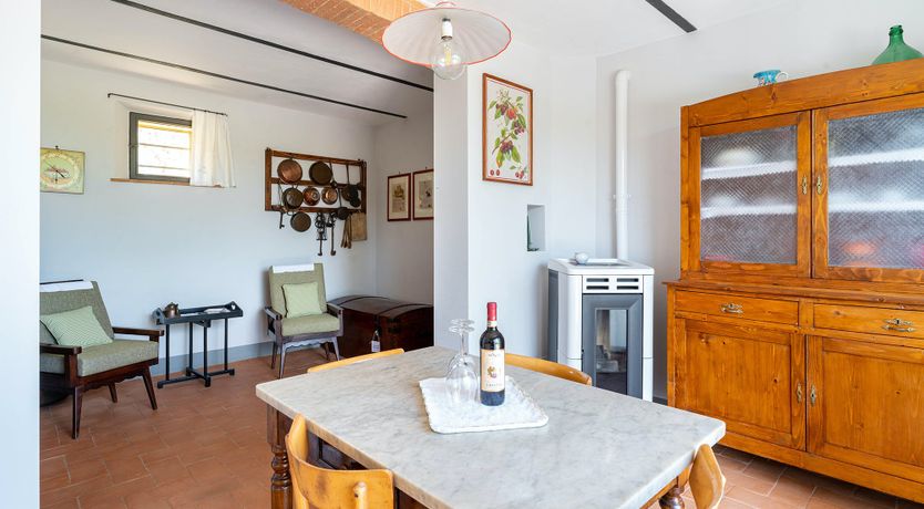 Photo of The Madonna Rose