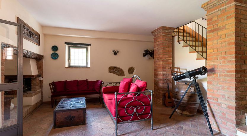 Photo of The Madonna Rose