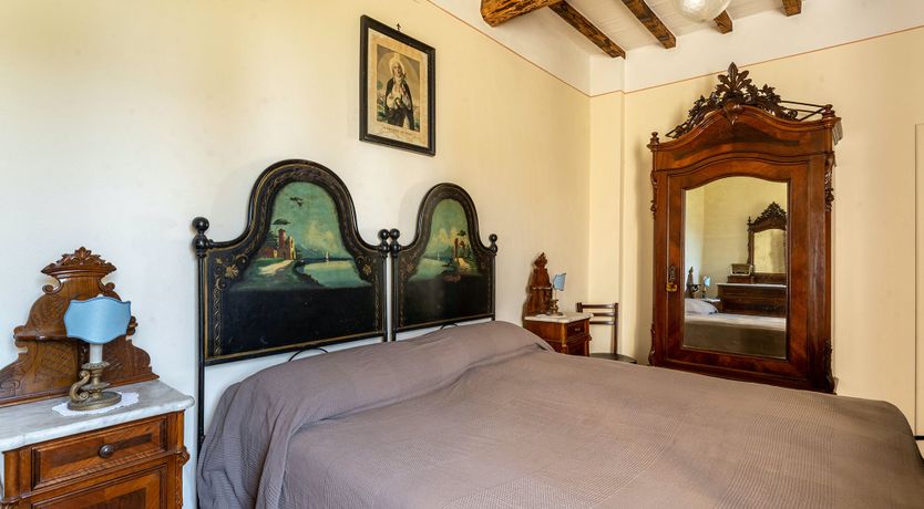 Photo of The Madonna Rose