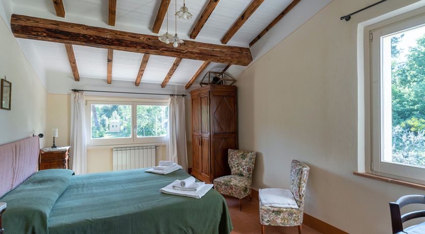 Photo of The Madonna Rose