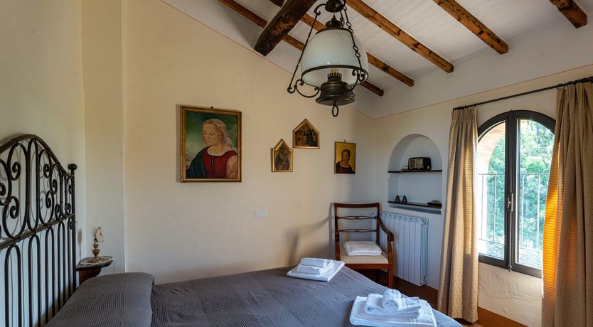 Photo of The Madonna Rose