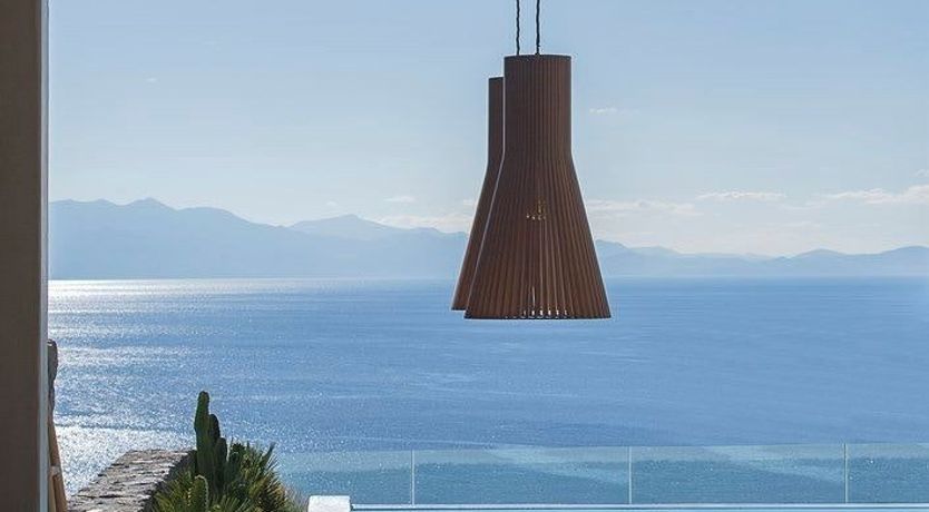 Photo of Grecian Bluebell