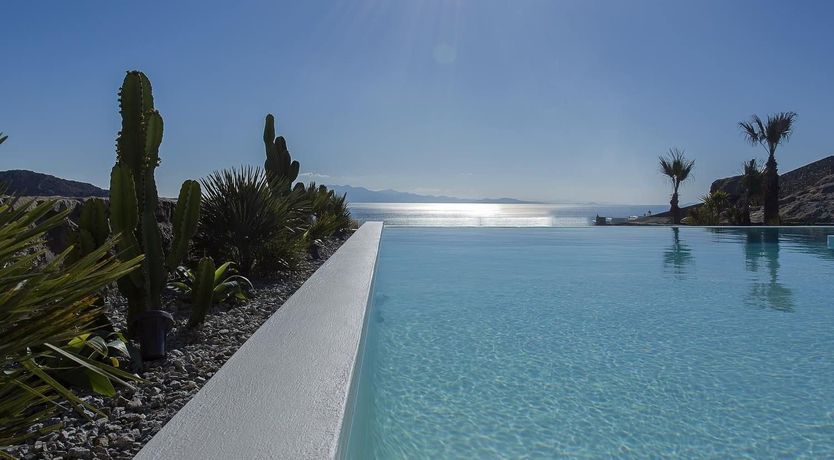 Photo of Grecian Bluebell