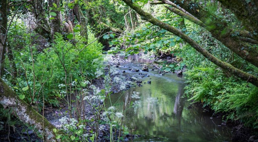 Photo of Tucking Mill