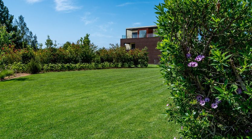 Photo of The Honey Blossom