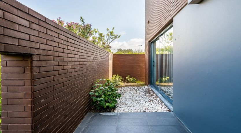 Photo of The Honey Blossom