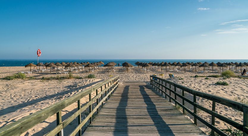 Photo of The Honey Blossom