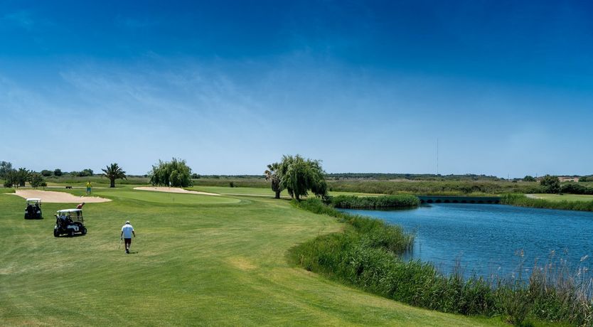 Photo of The Honey Blossom