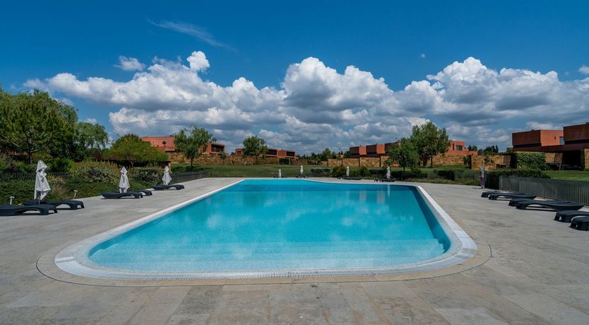 Photo of The Honey Blossom