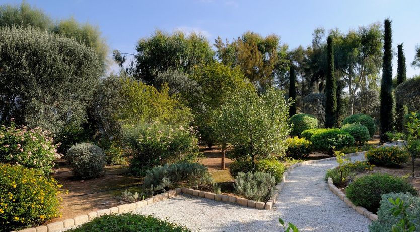 Photo of One For The Dreamers