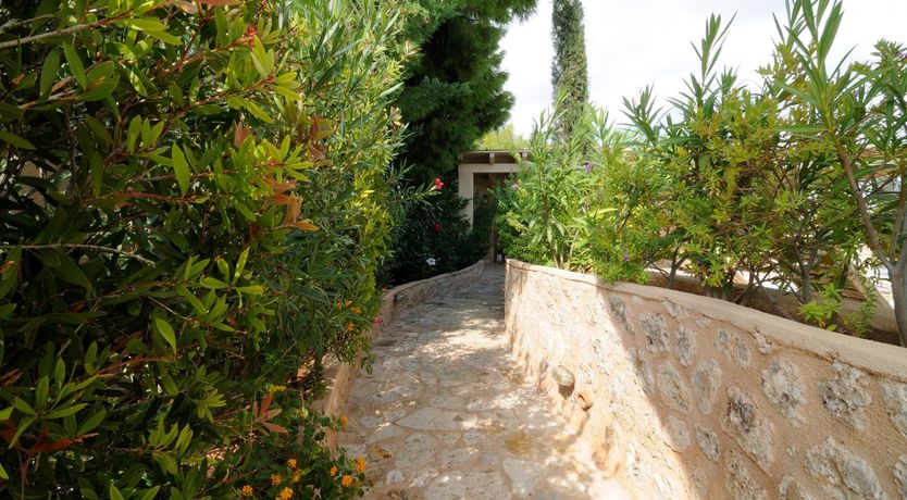 Photo of One For The Dreamers