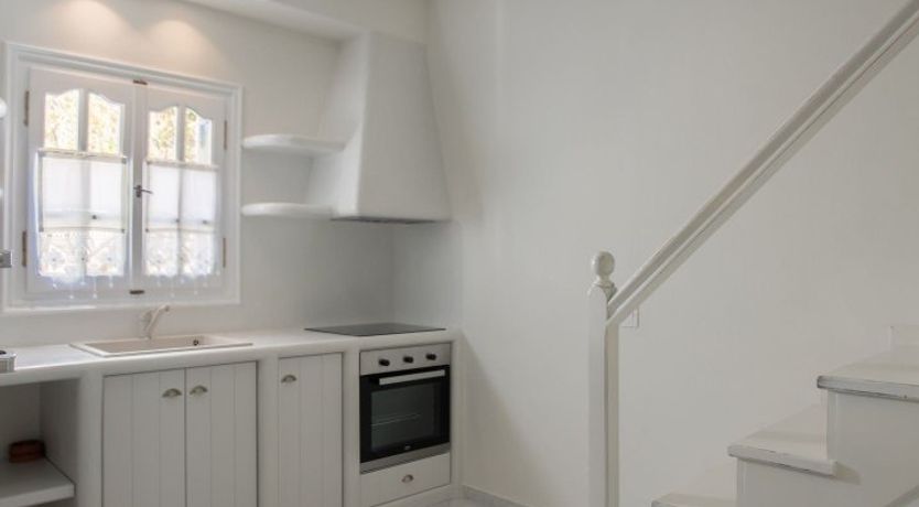 Photo of Blushing Orchid