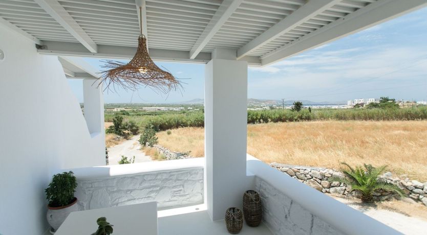 Photo of Blushing Orchid