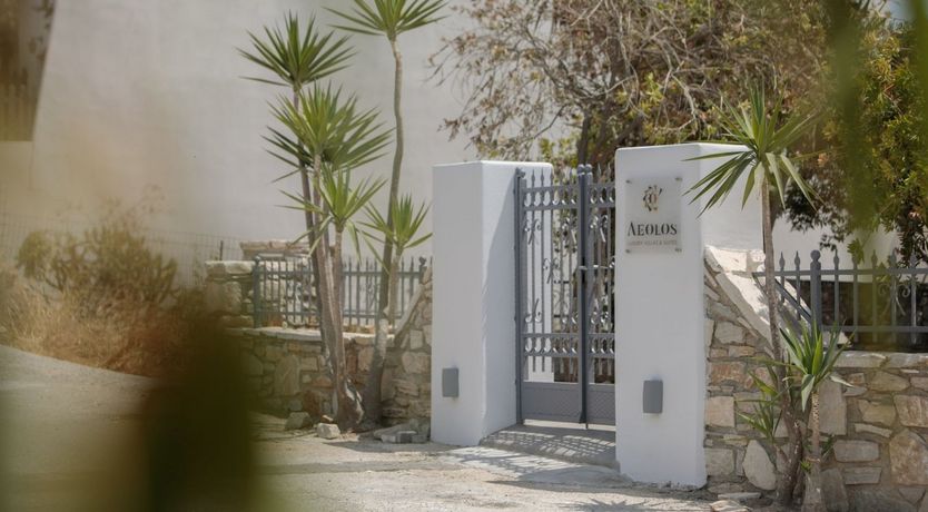 Photo of Blushing Orchid