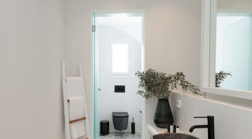 Photo of Blushing Orchid