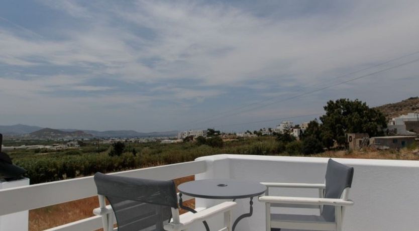 Photo of Blushing Orchid