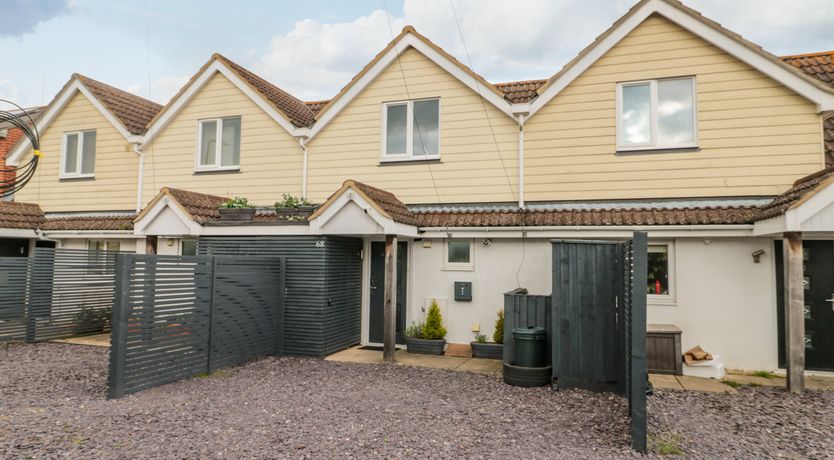 Photo of Forever Summer