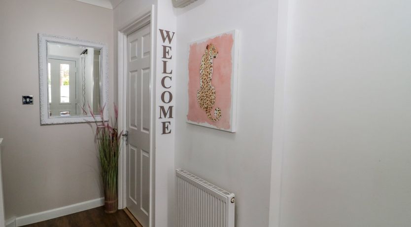 Photo of Forever Summer