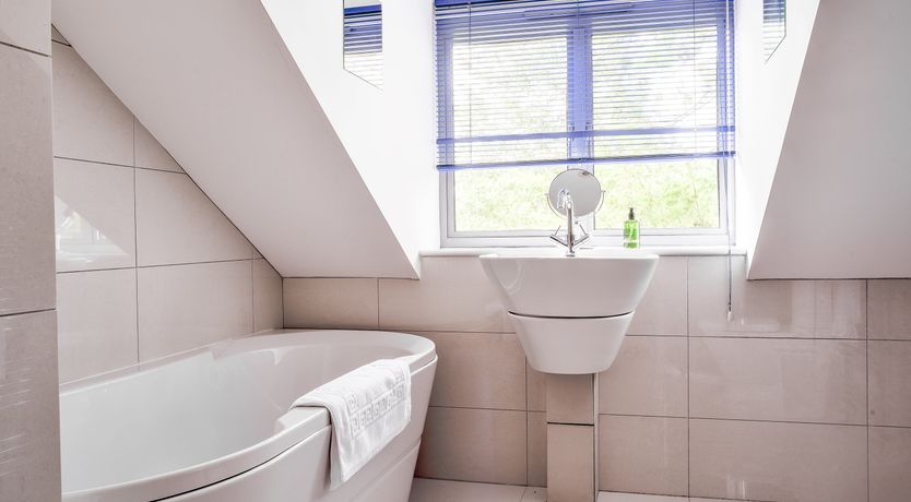 Photo of Royal Huntress