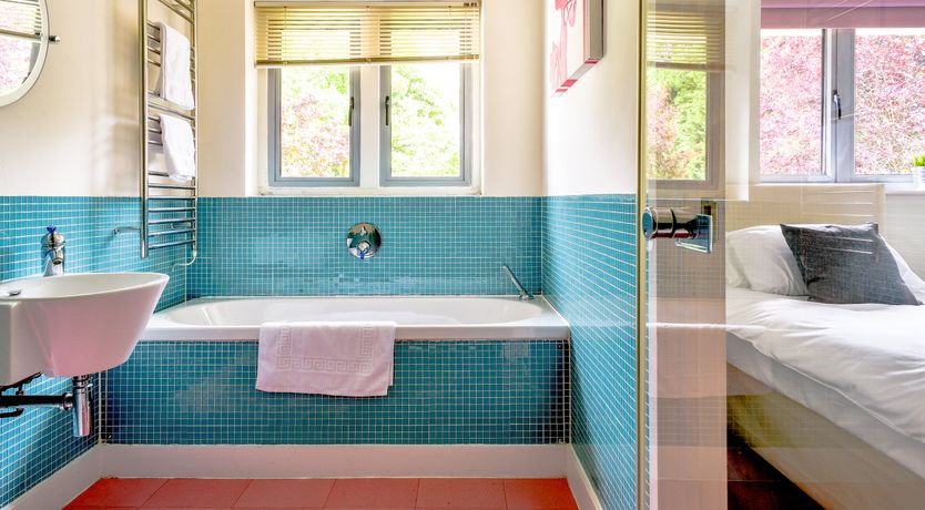 Photo of Royal Huntress