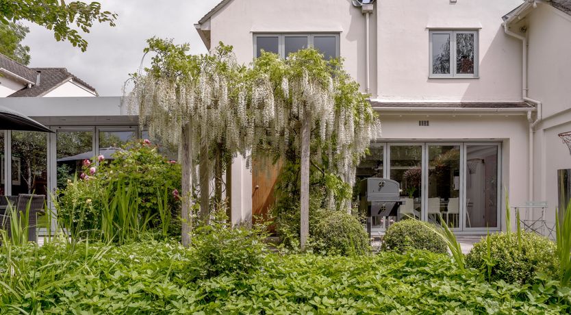 Photo of Royal Huntress